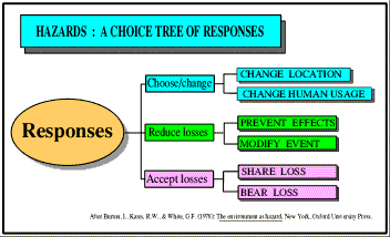 Choice tree of responses